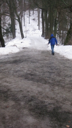 wm_2011_callenberg.jpg