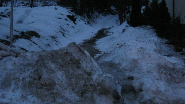 wm_2011_creidlitz.jpg