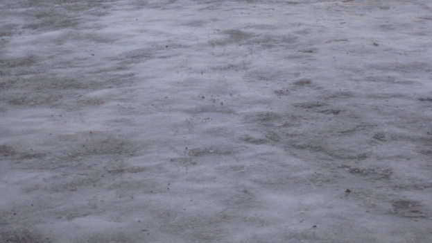 wm_2011_ernstfarm.jpg