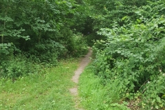 Der erste Trail wartet schon auf uns