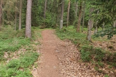 Ab und zu sind die Wege auch mal ein bisschen breiter