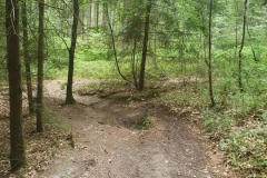 Auf dem nächsten Single-Trail gehts bergab