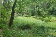 Die Hofmannsteiche