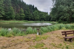 Blick zurück auf die Hofmannsteiche