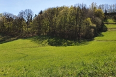EckardtsturmVeste_03