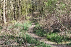 EckardtsturmVeste_13