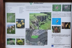 Grueberstein_08