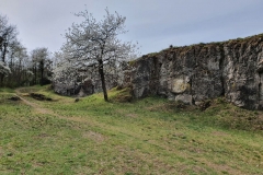 Grueberstein_09