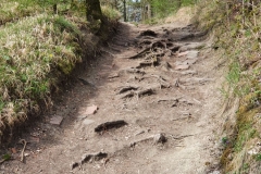 Grueberstein_14