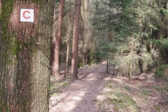 Grueberstein_15
